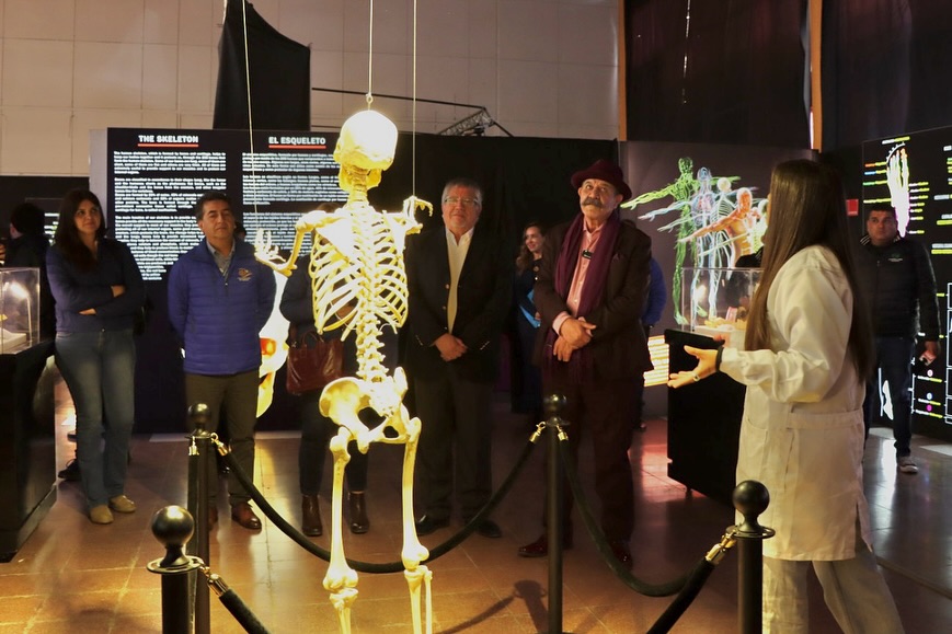 /bodies-evolution-llega-a-copiapo-un-viaje-fascinante-al-interior-del