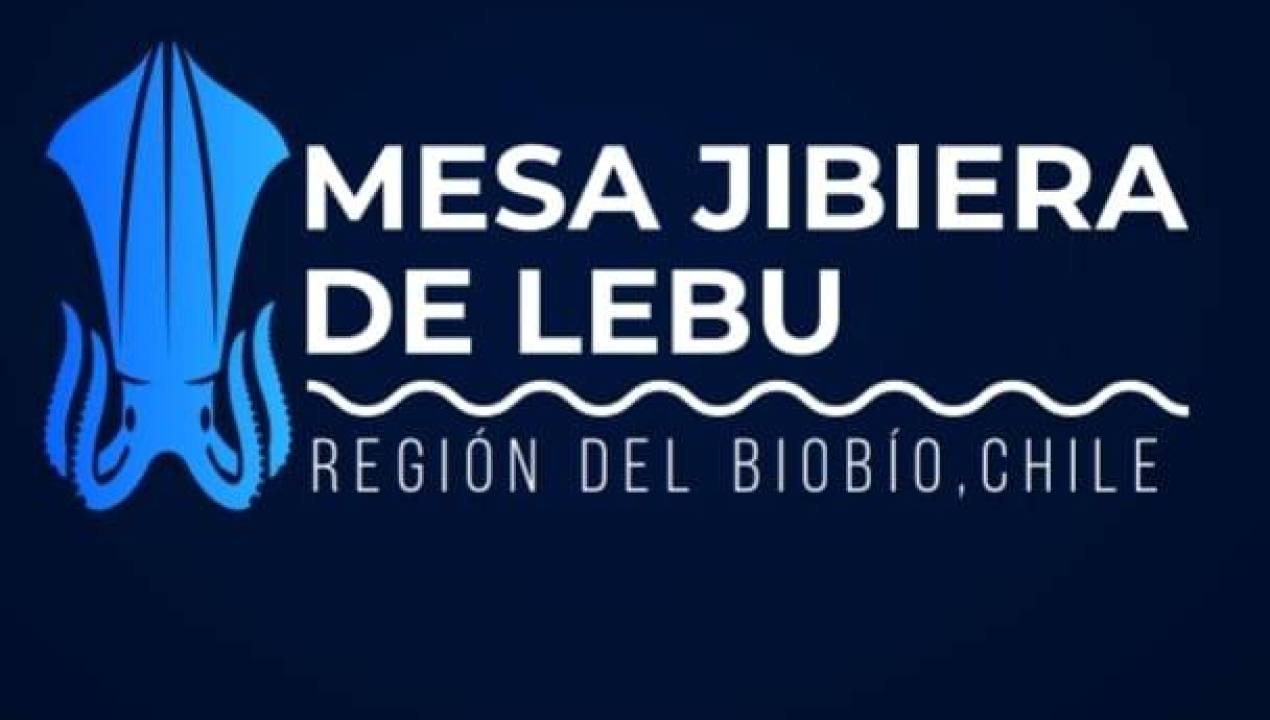 /comunicado-publico-mesa-comunal-jibiera-de-lebu