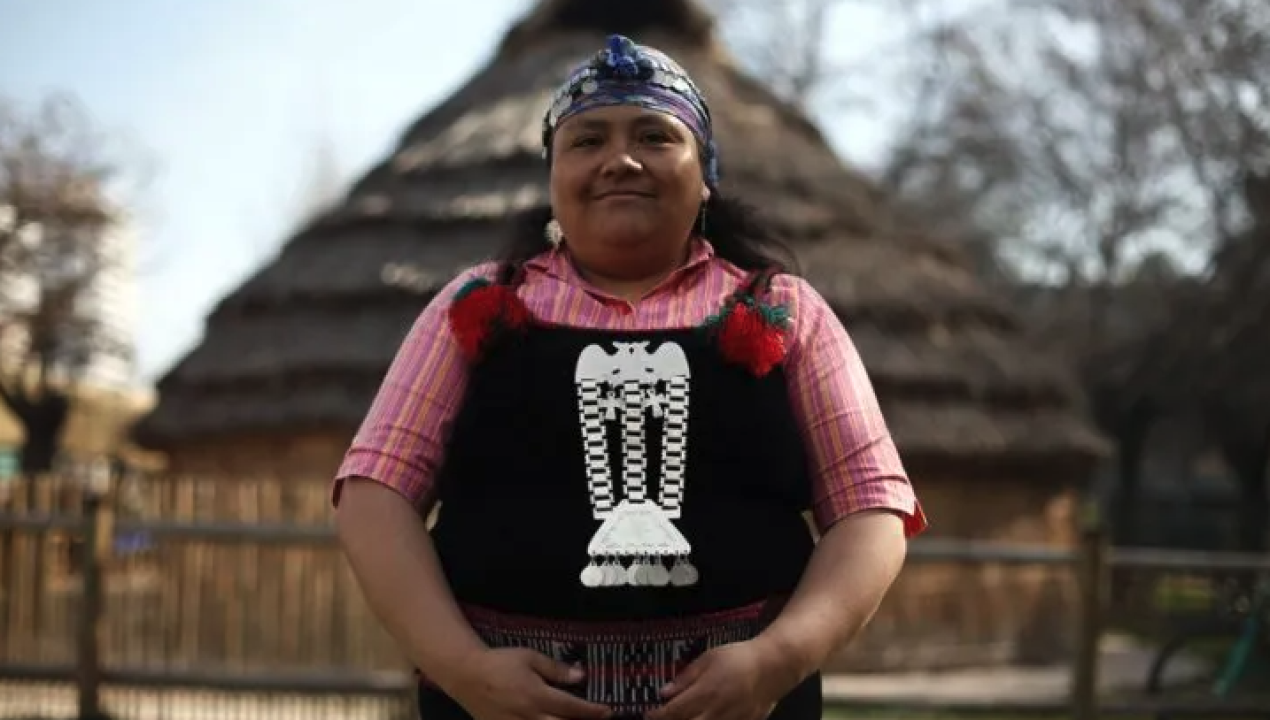 /we-tripantu-el-ano-nuevo-mapuche-que-celebra-el-renacer-del-sol-y-la