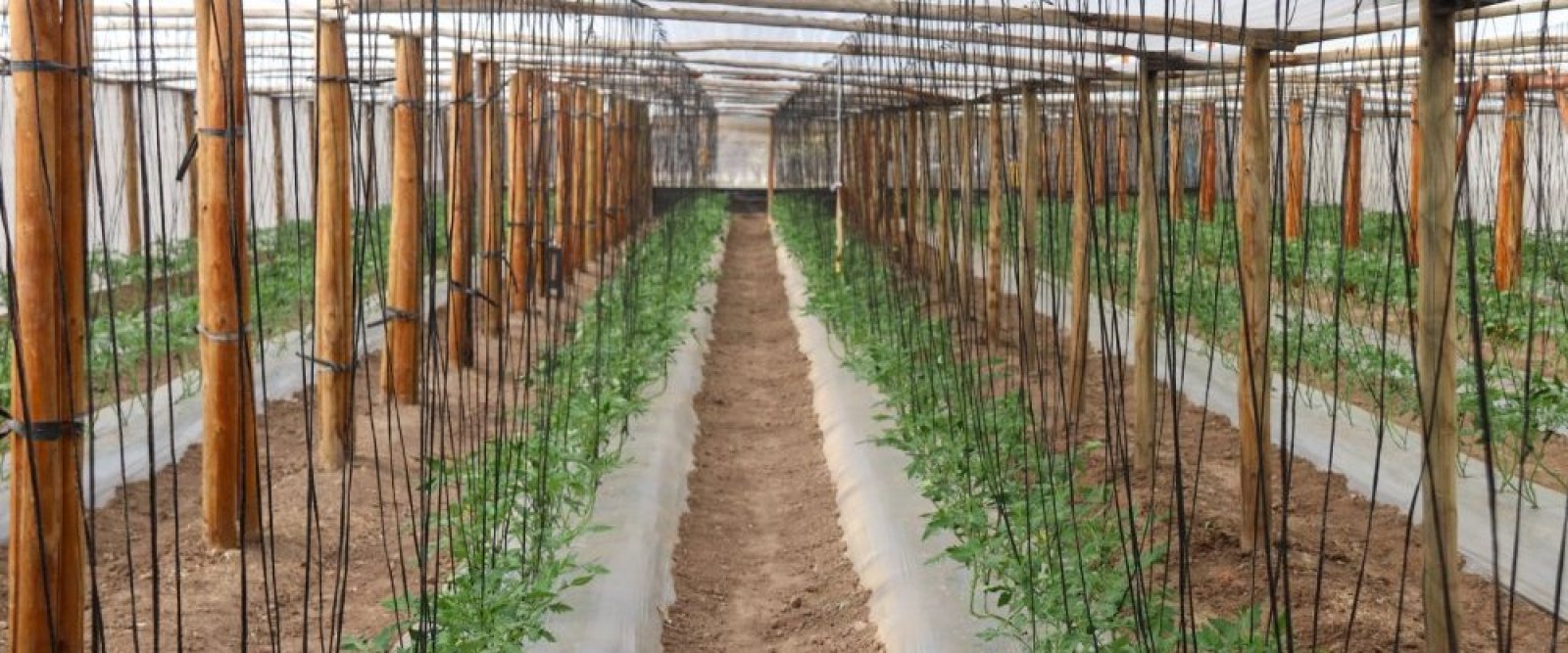 Más de 200 agricultores de Salamanca reciben apoyo