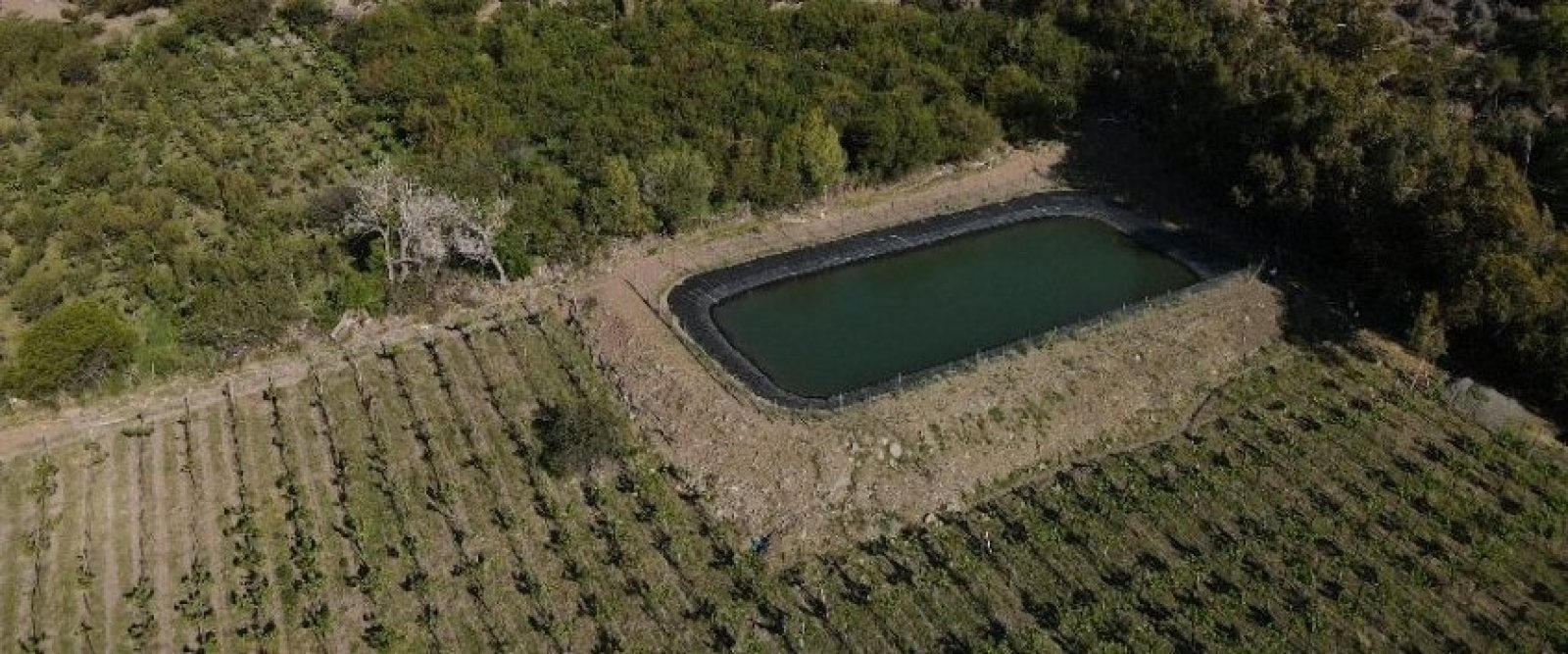 Autoridades del agro recorren obra acumulación bonificada