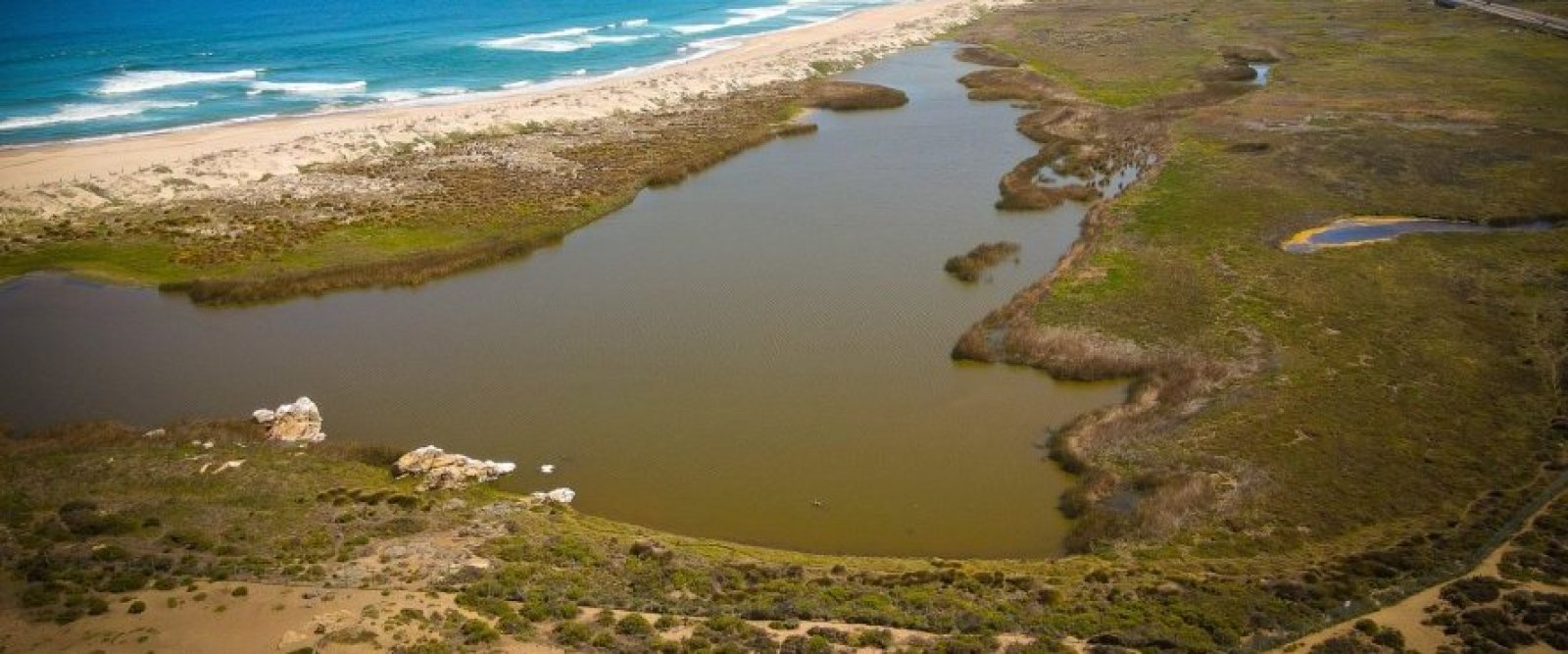 Laguna Conchalí: más de dos décadas de conservación