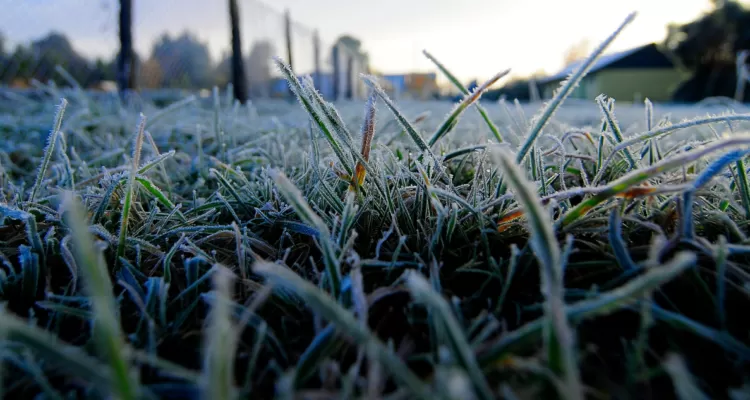 /frio-extremo-termometros-marcaron-5-4-c-y-se-registraron-heladas-en-la