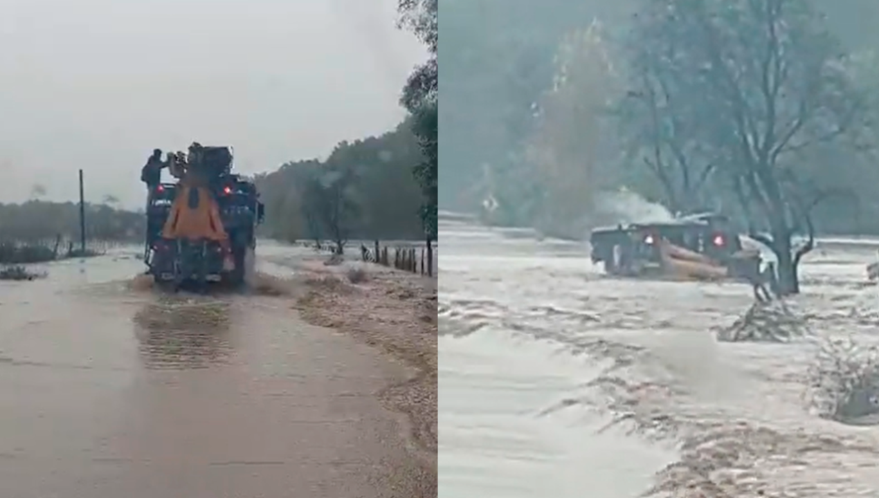 /regionales/region-del-maule/se-cayo-se-fue-para-la-orilla-camion-termina-volcado-en-ruta-que-une