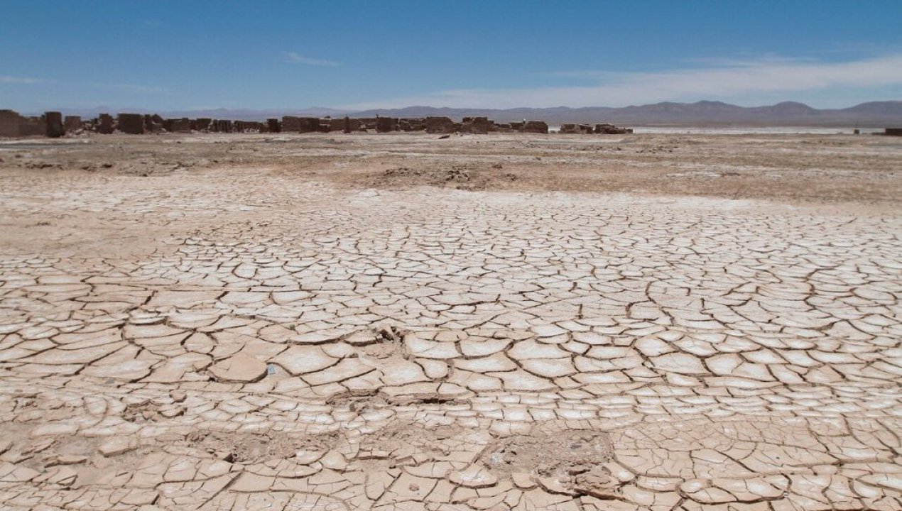 /tendencias/medio-ambiente/cambio-climatico/cerca-de-la-extincion-dos-especies-chilenas-en-riesgo-por-condiciones