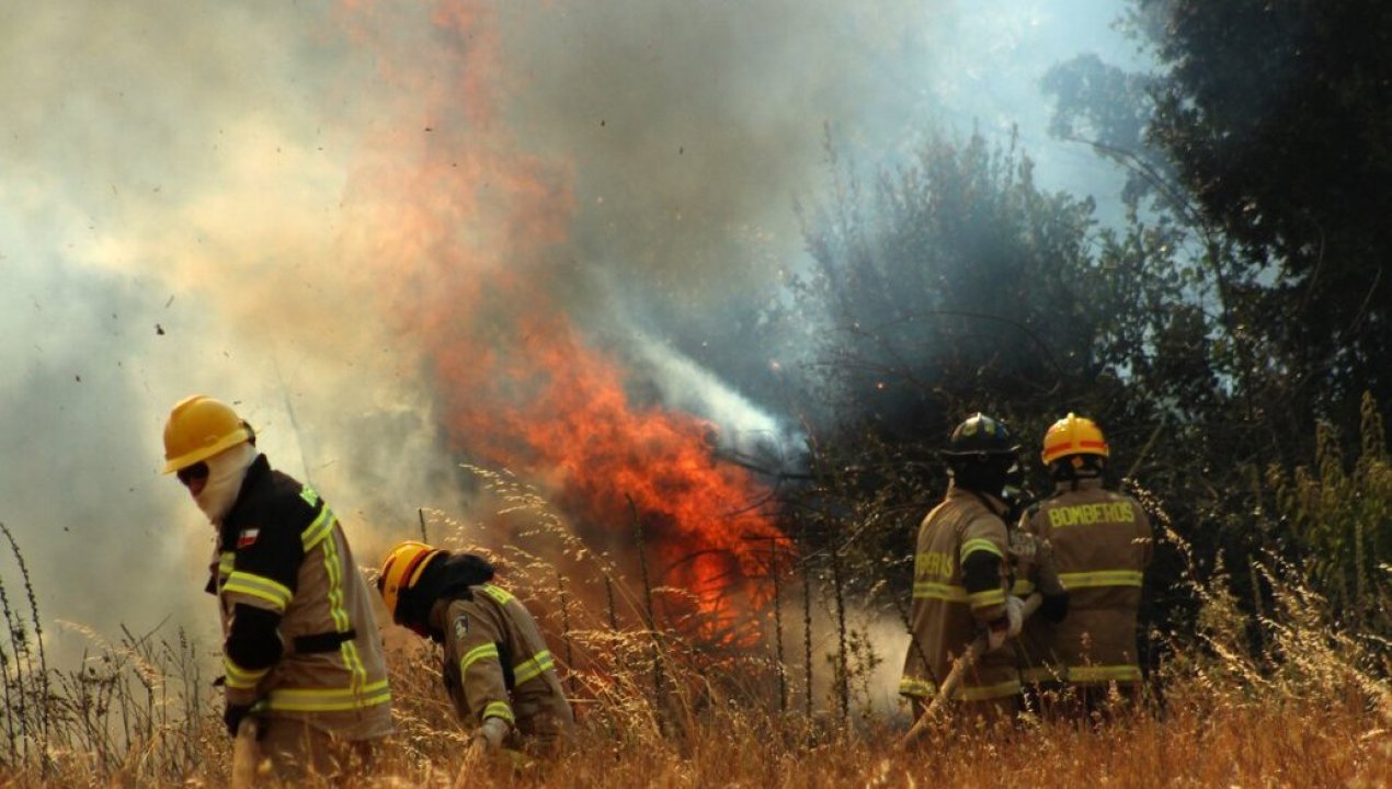 /regionales/region-del-biobio/nacimiento-y-santa-juana-presentaran-acciones-legales-por-incendios