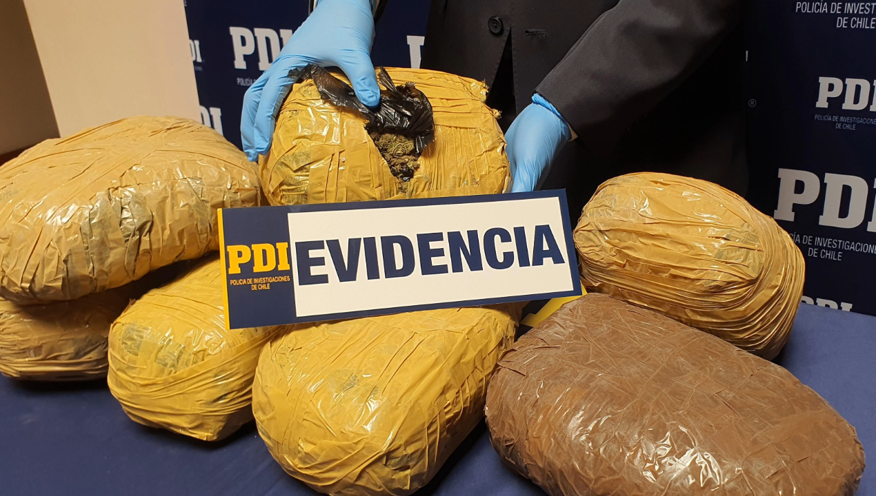 /investigacion-de-fiscalia-y-pdi-neutraliza-punto-de-acopio-de-droga-en-el