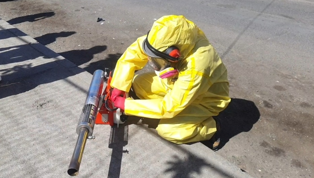 /busqueda-de-aedes-aegypti-12-focos-identificados-en-antofagasta